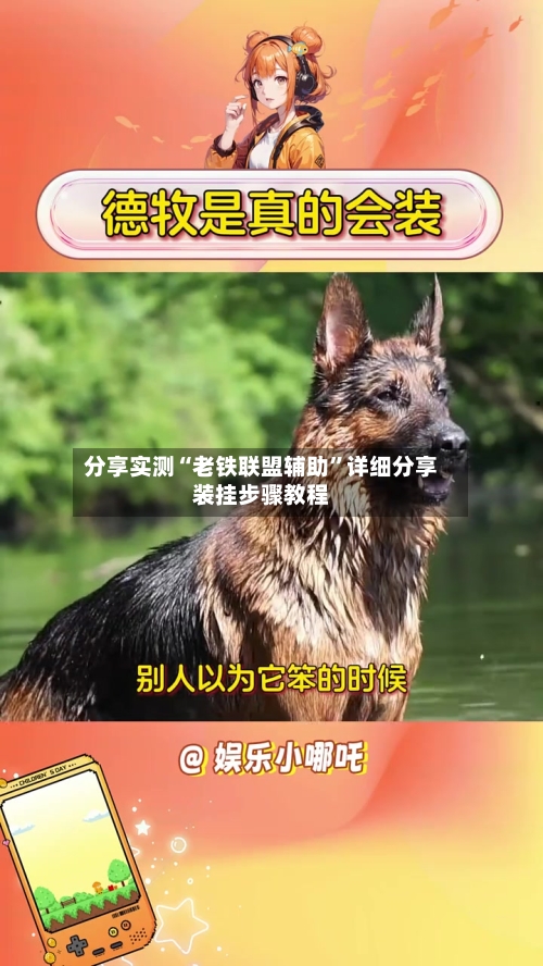 分享实测“老铁联盟辅助	”详细分享装挂步骤教程-第3张图片