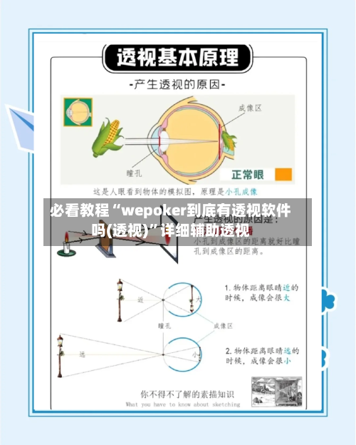 必看教程“wepoker到底有透视软件吗(透视)”详细辅助透视-第1张图片
