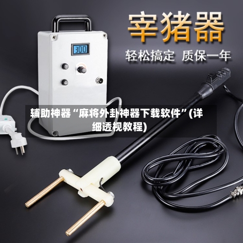 辅助神器“麻将外卦神器下载软件”(详细透视教程)-第1张图片