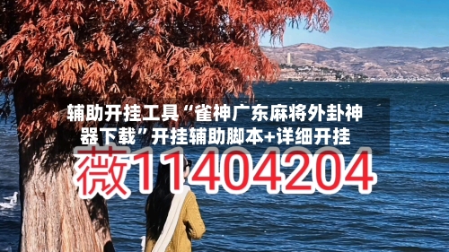 辅助开挂工具“雀神广东麻将外卦神器下载	”开挂辅助脚本+详细开挂-第1张图片
