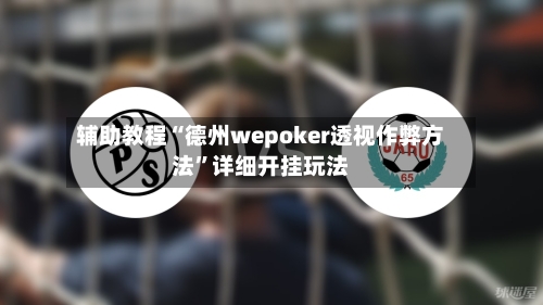 辅助教程“德州wepoker透视作弊方法”详细开挂玩法-第1张图片