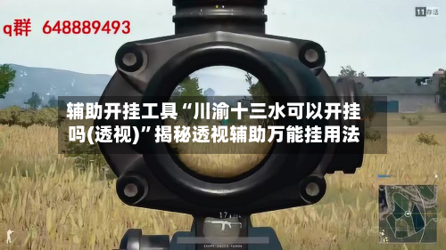 辅助开挂工具“川渝十三水可以开挂吗(透视)”揭秘透视辅助万能挂用法-第1张图片