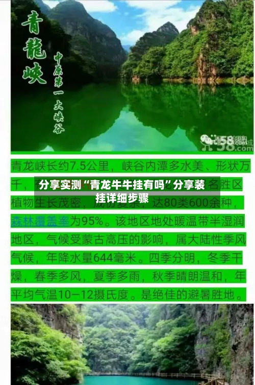 分享实测“青龙牛牛挂有吗	”分享装挂详细步骤-第1张图片