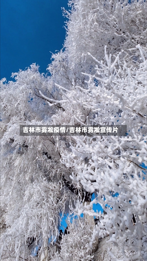 吉林市雾凇疫情/吉林市雾凇宣传片-第3张图片
