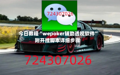今日教程“wepoker辅助透视软件	”附开挂脚本详细步骤-第2张图片