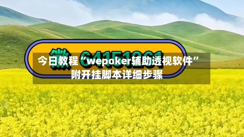 今日教程“wepoker辅助透视软件”附开挂脚本详细步骤-第1张图片