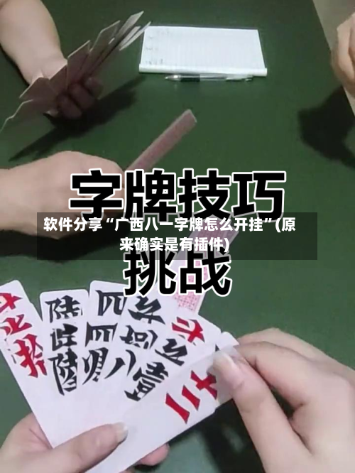 软件分享“广西八一字牌怎么开挂”(原来确实是有插件)-第2张图片