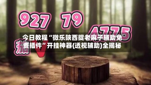 今日教程“微乐陕西捉老麻子辅助免费插件	”开挂神器{透视辅助}全揭秘-第2张图片