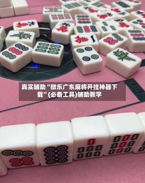 真实辅助“微乐广东麻将开挂神器下载”(必备工具)辅助教学-第1张图片