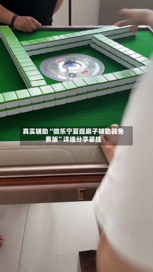 真实辅助“微乐宁夏捉麻子辅助器免费版”详细分享装挂-第1张图片