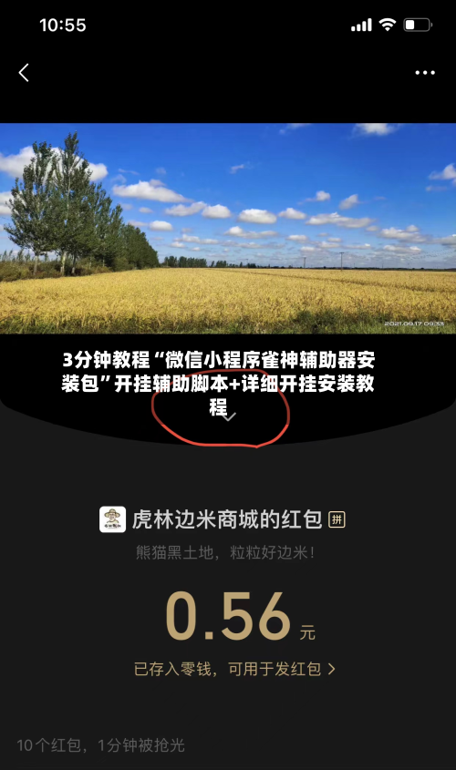 3分钟教程“微信小程序雀神辅助器安装包”开挂辅助脚本+详细开挂安装教程-第1张图片