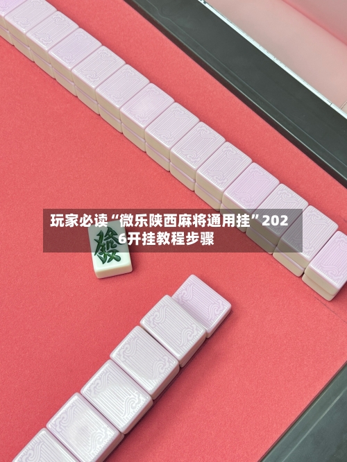 玩家必读“微乐陕西麻将通用挂”2026开挂教程步骤-第2张图片