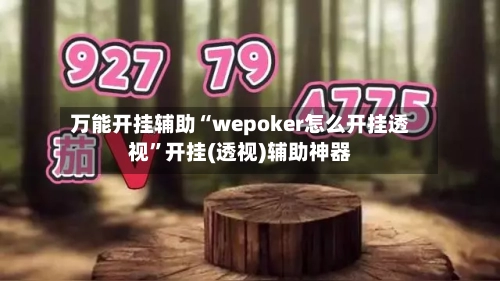 万能开挂辅助“wepoker怎么开挂透视	”开挂(透视)辅助神器-第2张图片