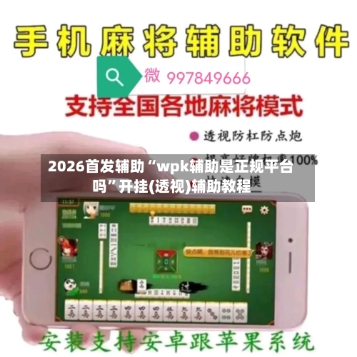 2026首发辅助“wpk辅助是正规平台吗”开挂(透视)辅助教程-第1张图片