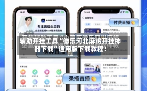 辅助开挂工具“微乐河北麻将开挂神器下载”通用版下载教程！-第1张图片