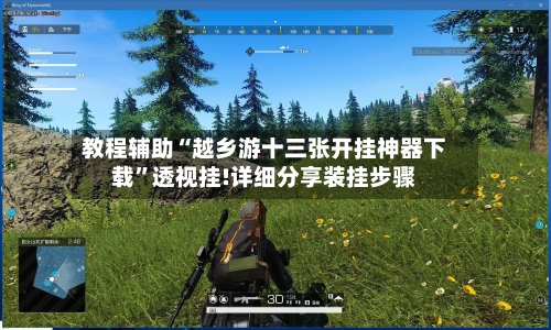 教程辅助“越乡游十三张开挂神器下载	”透视挂!详细分享装挂步骤-第2张图片
