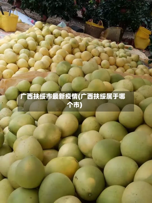 广西扶绥市最新疫情(广西扶绥属于哪个市)-第3张图片