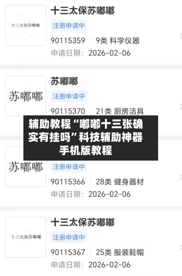 辅助教程“嘟嘟十三张确实有挂吗”科技辅助神器手机版教程-第1张图片