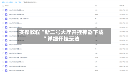 实操教程“新二号大厅开挂神器下载	”详细开挂玩法-第2张图片