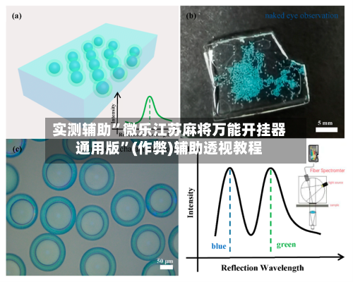 实测辅助”微乐江苏麻将万能开挂器通用版”(作弊)辅助透视教程-第2张图片