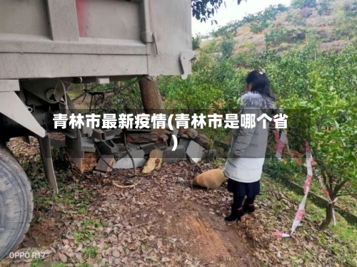 青林市最新疫情(青林市是哪个省)-第1张图片