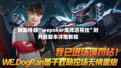 辅助神器“wepoker底牌透视挂”附开挂脚本详细教程-第1张图片