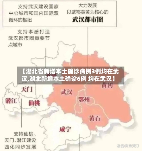 【湖北省新增本土确诊病例3例均在武汉,湖北新增本土确诊6例 均在武汉】-第1张图片