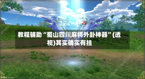 教程辅助“蜀山四川麻将外卦神器	”(透视)其实确实有挂-第2张图片