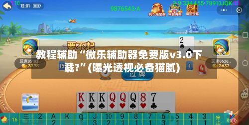 教程辅助“微乐辅助器免费版v3.0下载?	”(曝光透视必备猫腻)-第2张图片