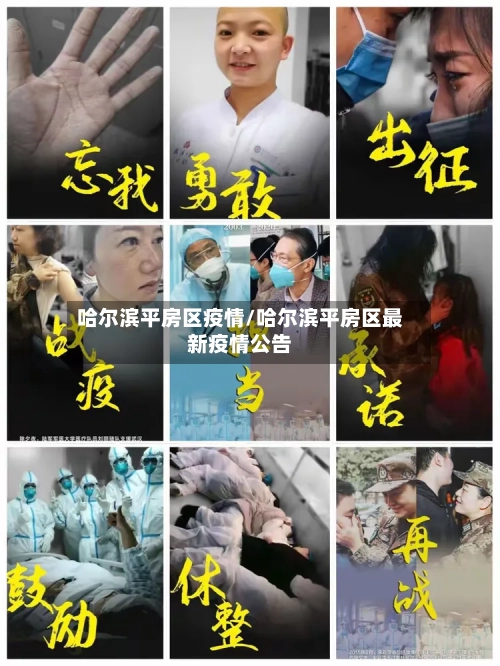 哈尔滨平房区疫情/哈尔滨平房区最新疫情公告-第1张图片