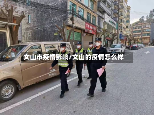 文山市疫情影响/文山的疫情怎么样-第2张图片