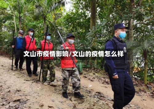 文山市疫情影响/文山的疫情怎么样-第1张图片