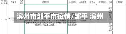 滨州市邹平市疫情/邹平 滨州-第3张图片