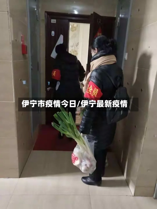 伊宁市疫情今日/伊宁最新疫情-第1张图片