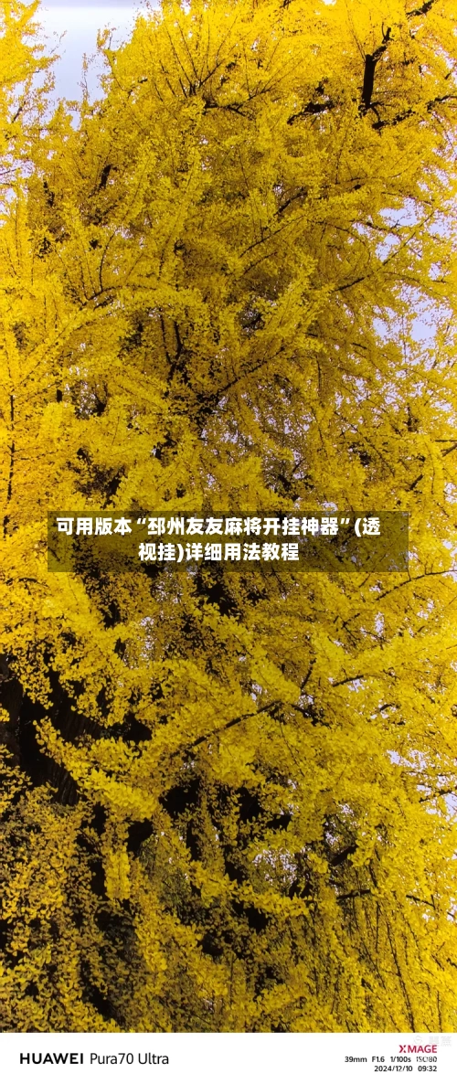 可用版本“邳州友友麻将开挂神器”(透视挂)详细用法教程-第1张图片