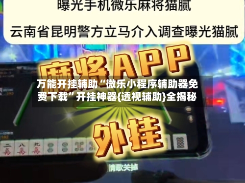 万能开挂辅助“微乐小程序辅助器免费下载”开挂神器{透视辅助}全揭秘-第1张图片