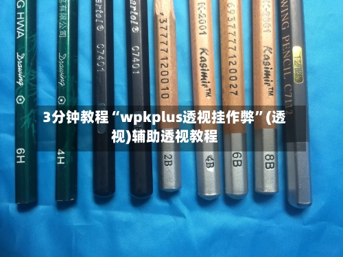3分钟教程“wpkplus透视挂作弊”(透视)辅助透视教程-第3张图片