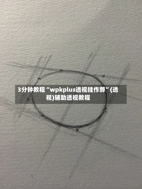 3分钟教程“wpkplus透视挂作弊”(透视)辅助透视教程-第1张图片