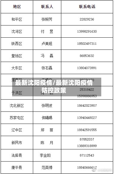 最新沈阳疫情/最新沈阳疫情防控政策-第1张图片