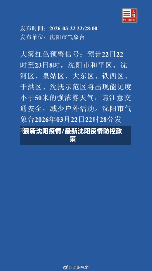 最新沈阳疫情/最新沈阳疫情防控政策-第3张图片