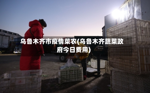 乌鲁木齐市疫情菜农(乌鲁木齐蔬菜政府今日费用)-第2张图片