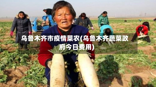 乌鲁木齐市疫情菜农(乌鲁木齐蔬菜政府今日费用)-第1张图片