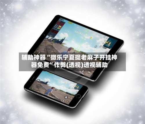 辅助神器“微乐宁夏捉老麻子开挂神器免费”作弊(透视)透视辅助-第2张图片