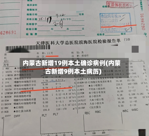 内蒙古新增19例本土确诊病例(内蒙古新增9例本土病历)-第1张图片