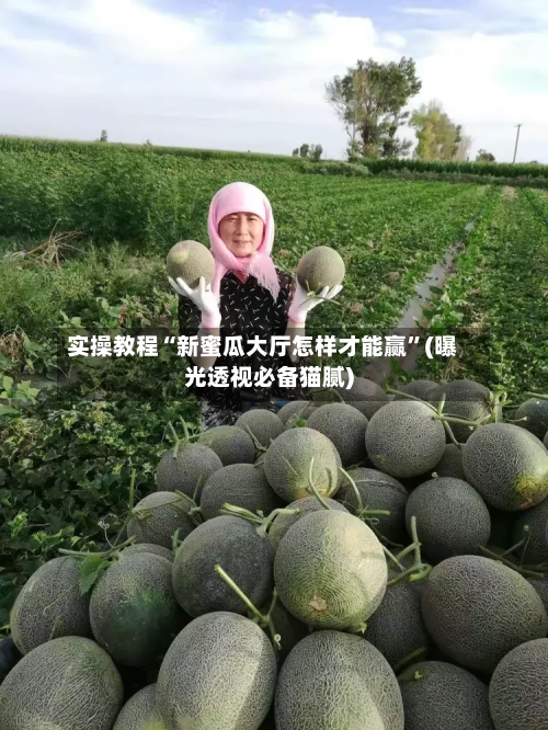 实操教程“新蜜瓜大厅怎样才能赢	”(曝光透视必备猫腻)-第3张图片