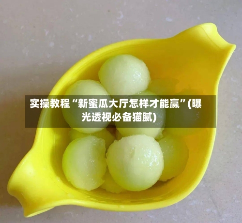 实操教程“新蜜瓜大厅怎样才能赢”(曝光透视必备猫腻)-第1张图片
