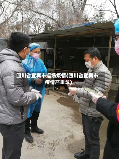 四川省宜宾市巡场疫情(四川省宜宾市疫情严重么)-第1张图片