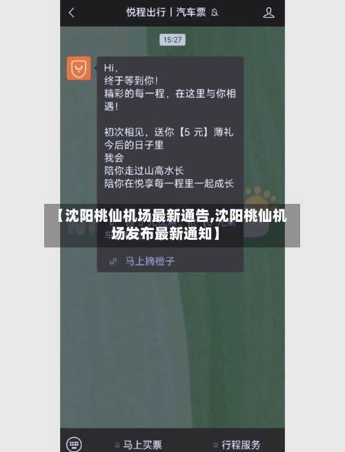 【沈阳桃仙机场最新通告,沈阳桃仙机场发布最新通知】-第1张图片