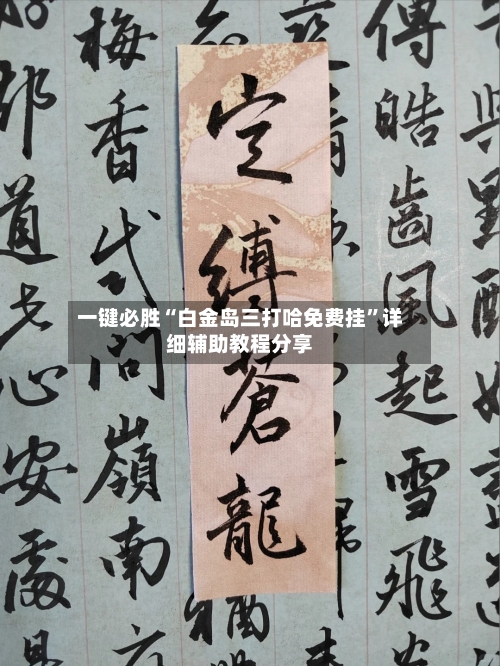 一键必胜“白金岛三打哈免费挂”详细辅助教程分享-第2张图片