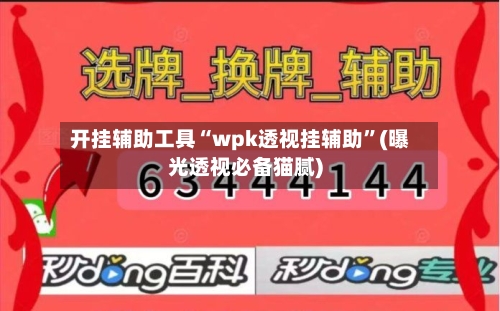 开挂辅助工具“wpk透视挂辅助”(曝光透视必备猫腻)-第1张图片